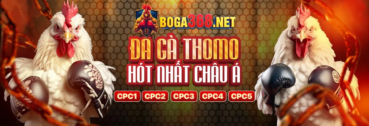 Ưu Đãi Hoàn Trả fanvip