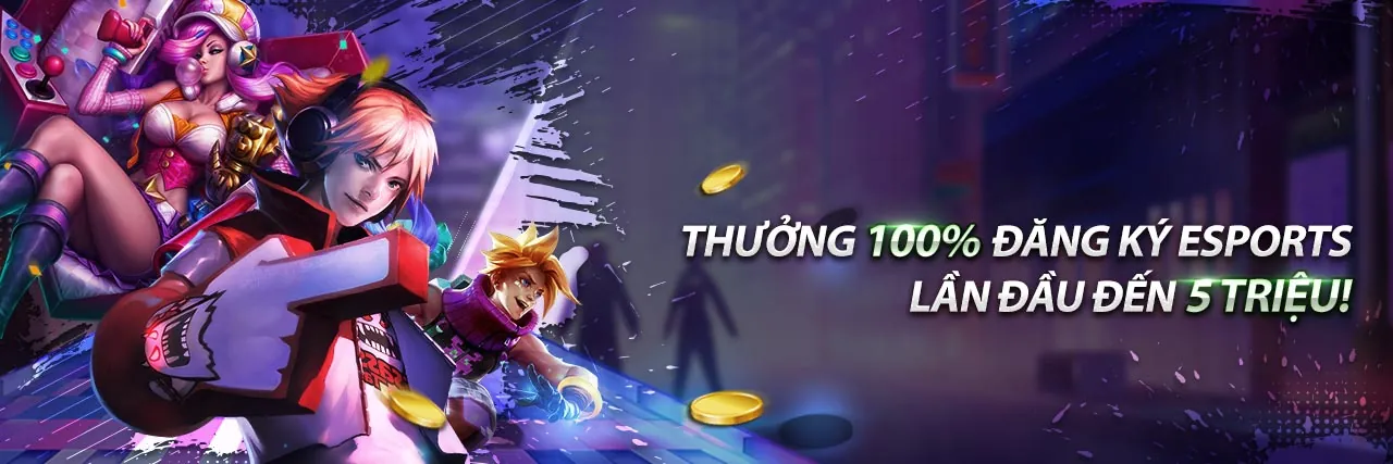Hình ảnh tổng quan các ưu đãi hấp dẫn tại fanvip 2026